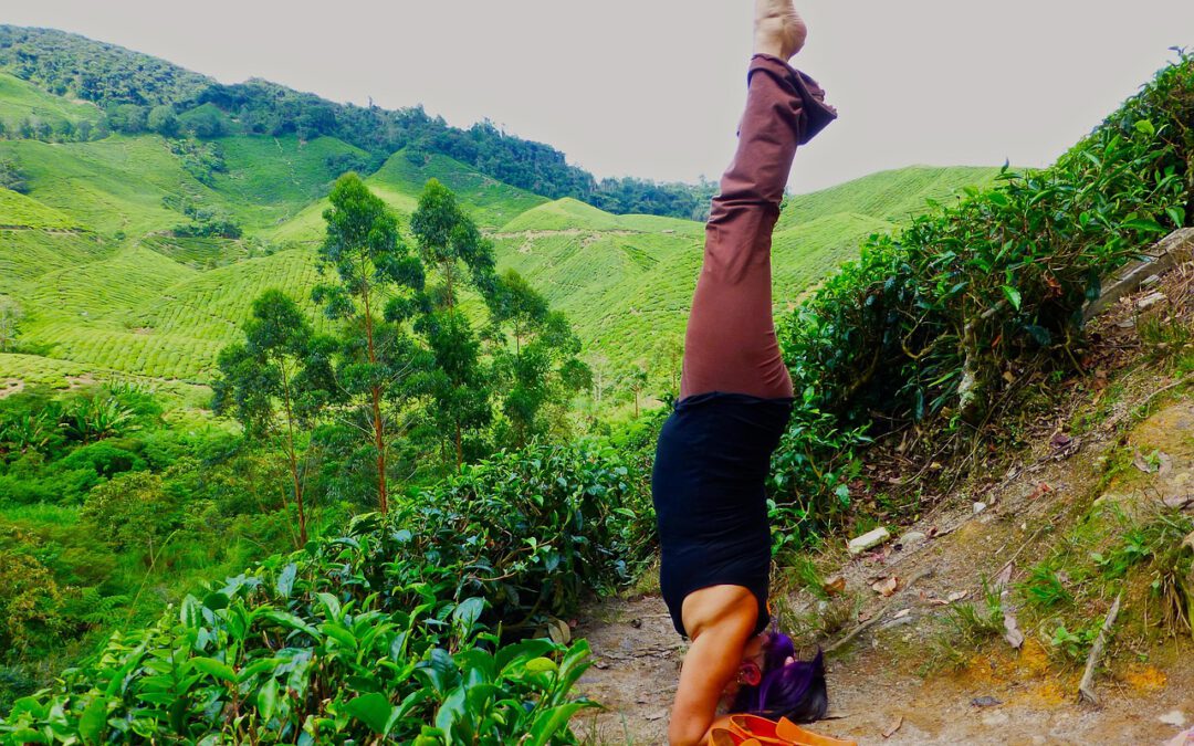 Wie Perspektivwechsel unsere Sicht auf die Welt verändert