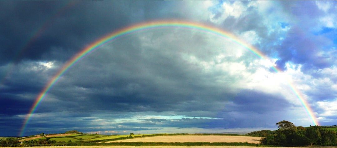 Sonne und Regen – wingwave, Beziehungsdynamik und Sexualität