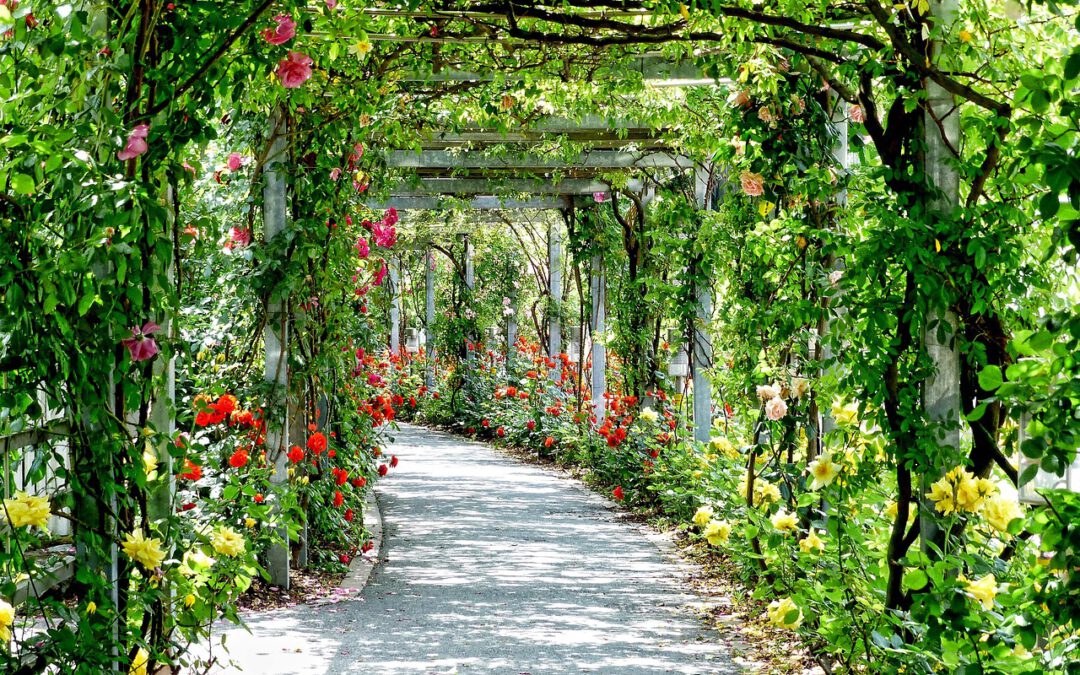 Blühende Gärten – Hypnose