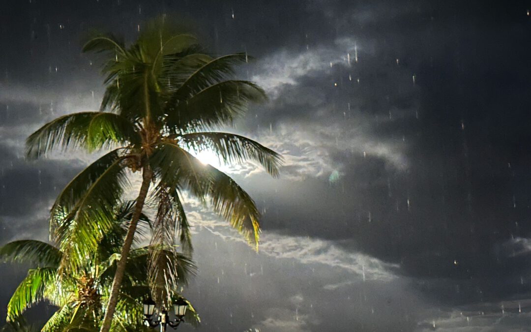 Die aktuelle Situation auf Kuba